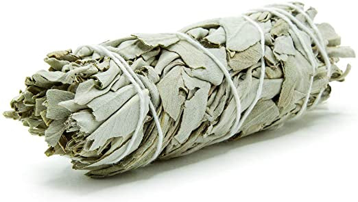 Single sage bundle